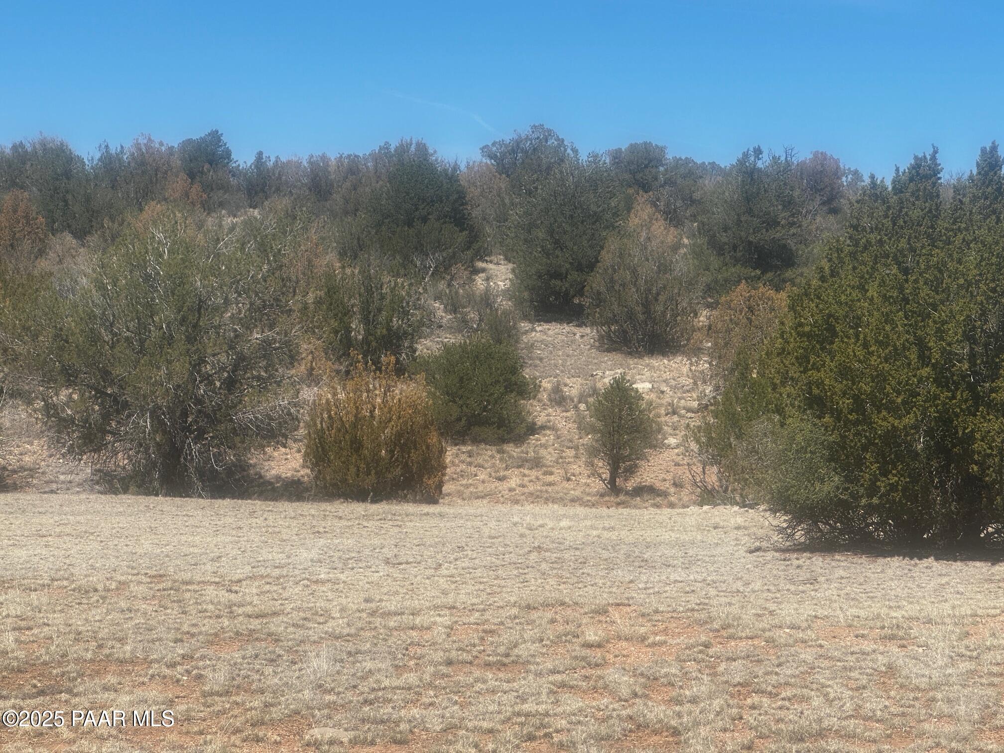32412 Ancho Road Seligman, AZ 86337 - Photo 9 of 13 IMG_8888
