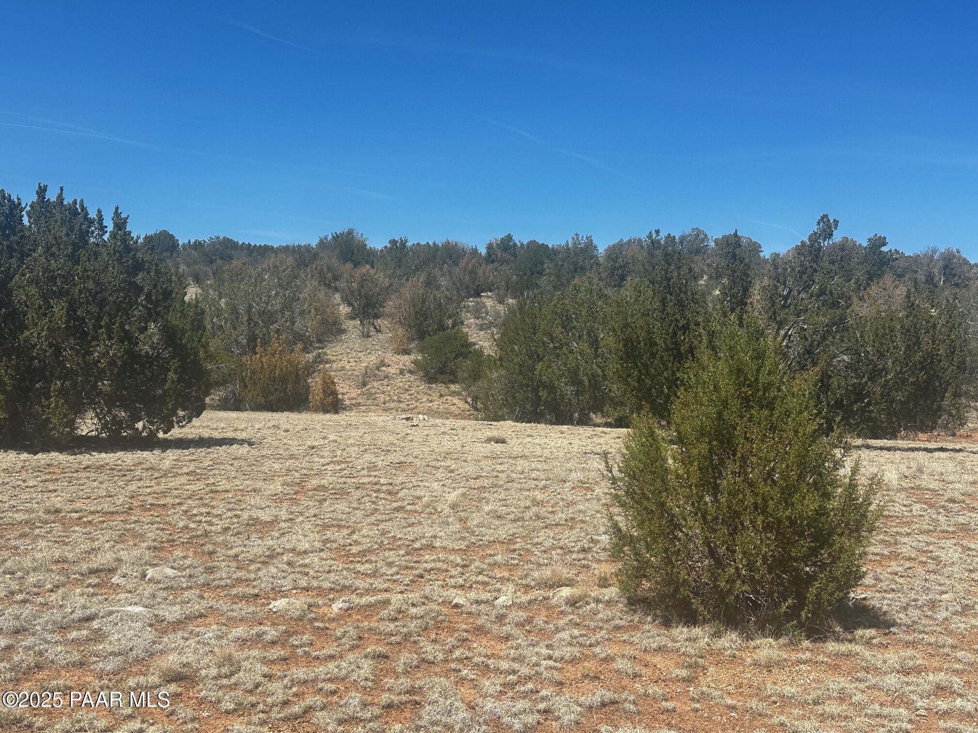32412 Ancho Road Seligman, AZ 86337 - Photo 10 of 13 IMG_8889