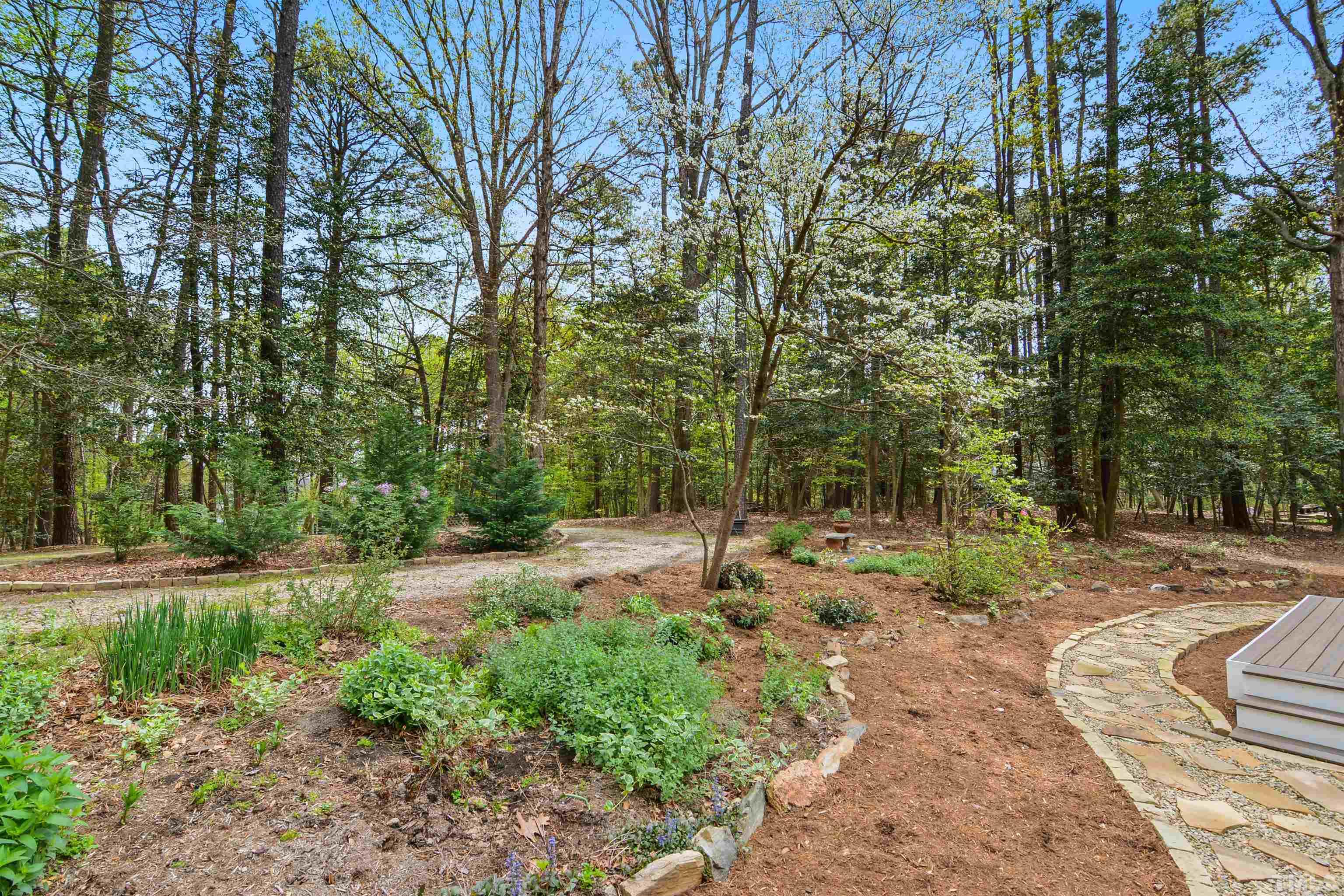 6120 Riverside Drive Wake Forest, NC 27587 - Photo 23 of 26 a view of a yard with plants and trees