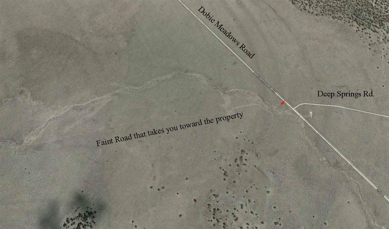 0 Mono Lake Bridgeport, CA 93517 - Photo 5 of 8