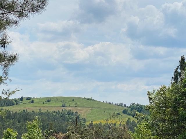 0 Tract 14 B Ridge Road Decatur, TN 37322 - Photo 1 of 5