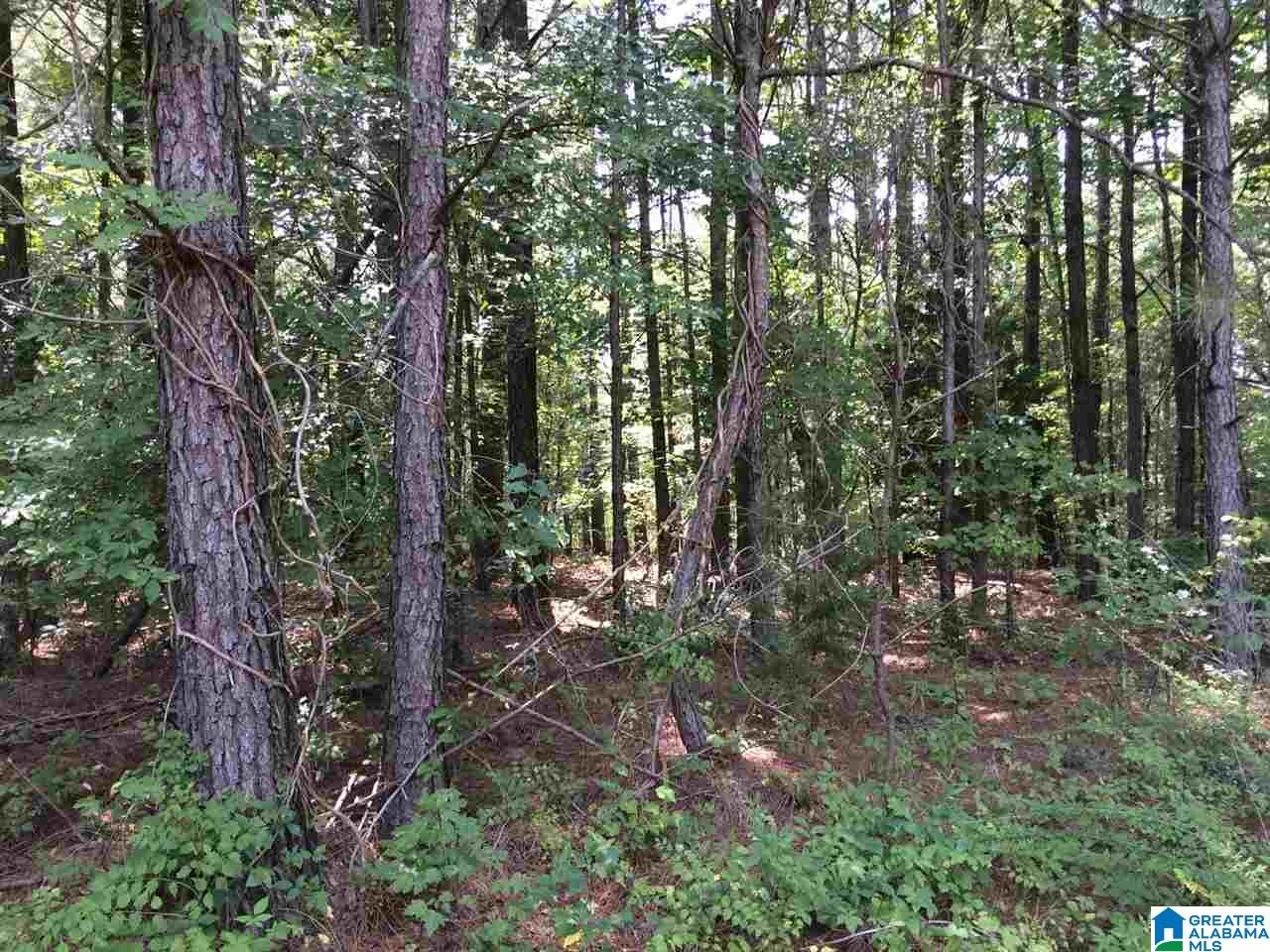 Spunky Hollow Road, Unit 18 7 Oneonta, AL 35121 - Photo 46 of 46