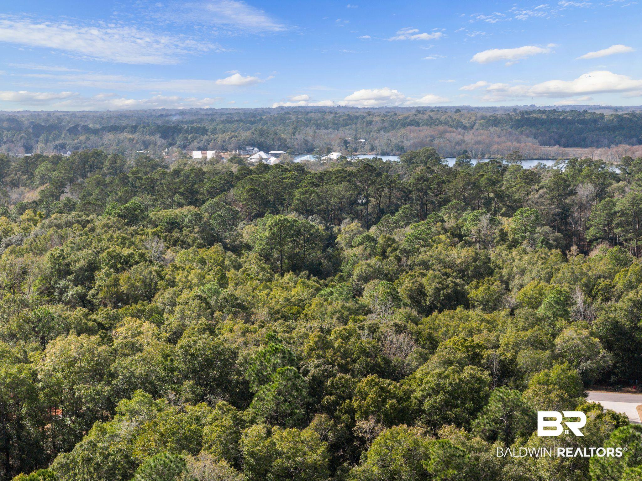 0 Pandion Drive Foley, AL 36535 - Photo 12 of 19