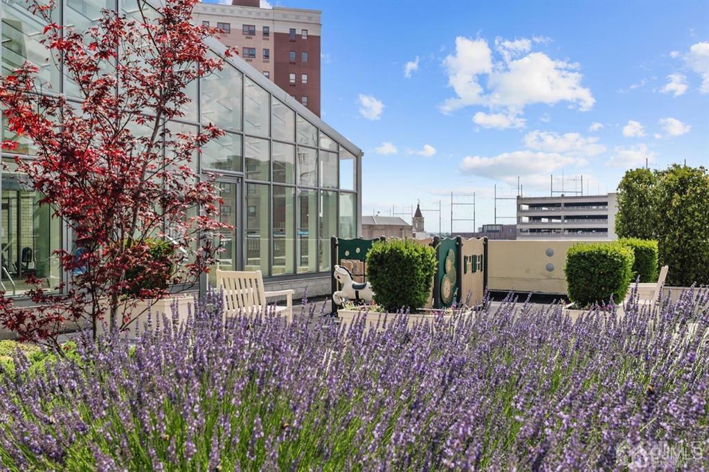 1 Spring Street, Unit 2105 New Brunswick, NJ 08901 - Photo 29 of 36