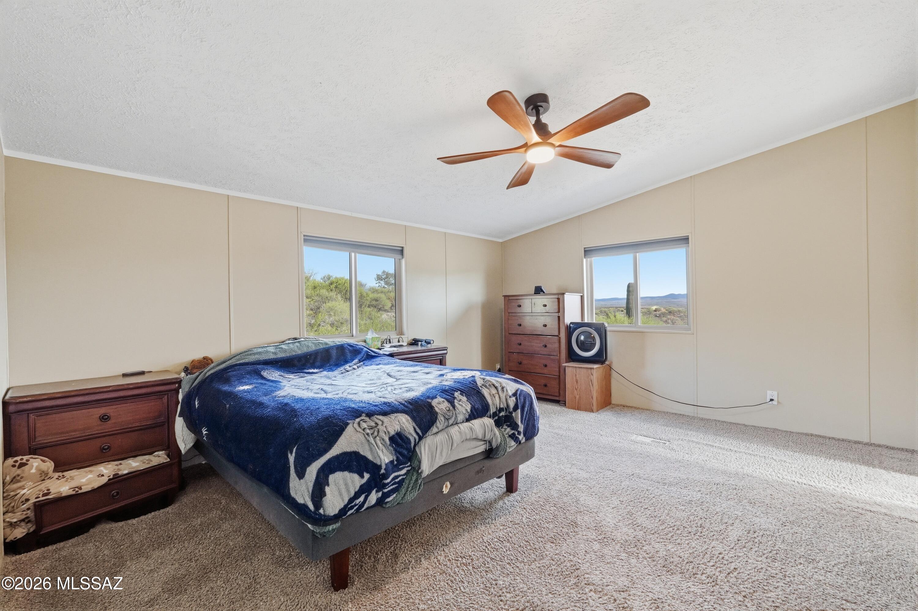 15680 East Colossal Cave Road Vail, AZ 85641 - Photo 17 of 51 Primary Bedroom