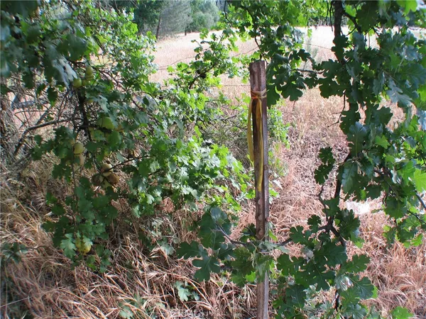 $359,500 | 0 Ophir Road, Oroville, CA 95966