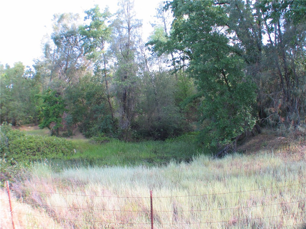 0 Ophir Road Oroville, CA 95966 - Photo 13 of 22