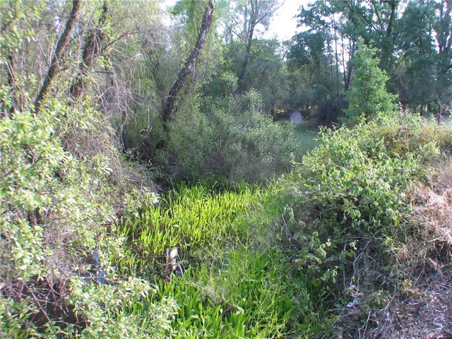 $359,500 | 0 Ophir Road, Oroville, CA 95966