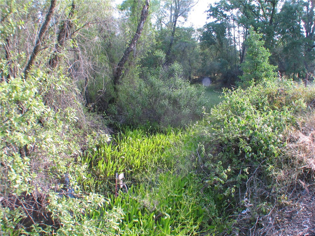 0 Ophir Road Oroville, CA 95966 - Photo 14 of 22