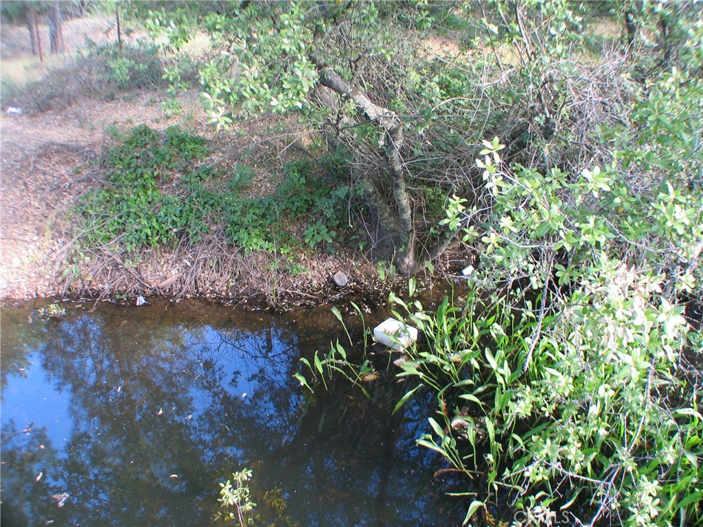 0 Ophir Road Oroville, CA 95966 - Photo 15 of 22