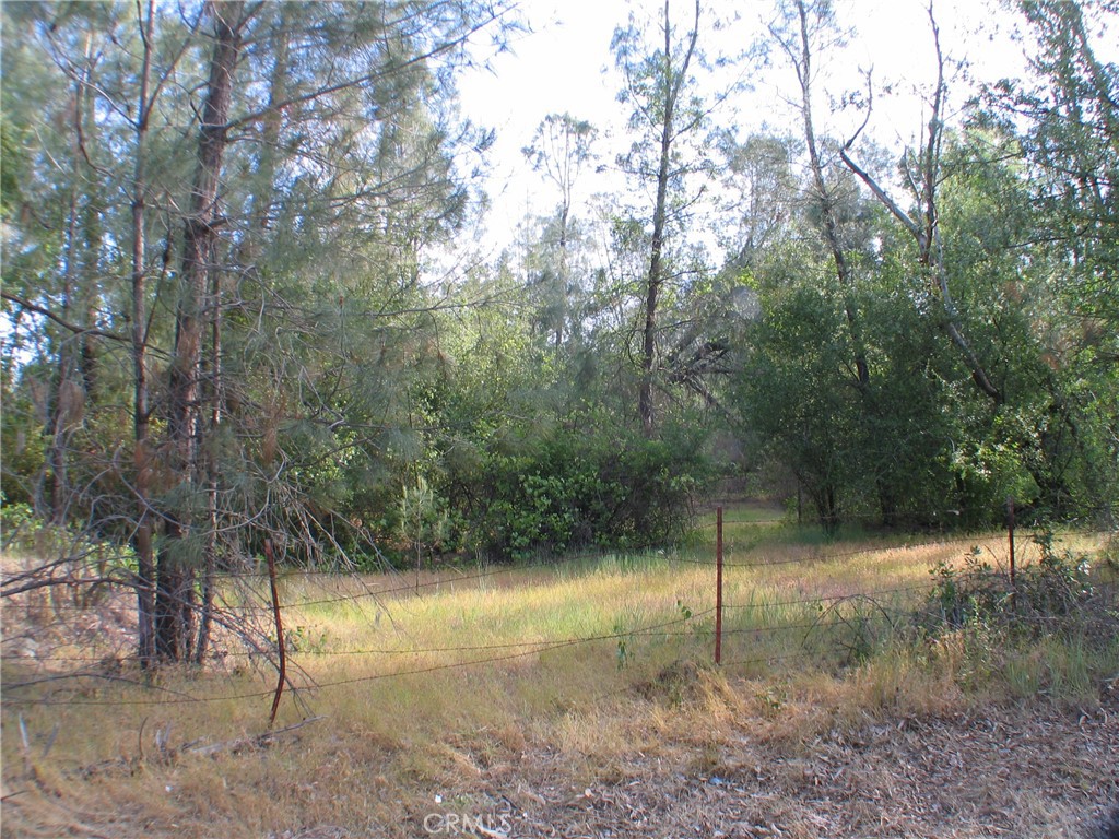 0 Ophir Road Oroville, CA 95966 - Photo 16 of 22
