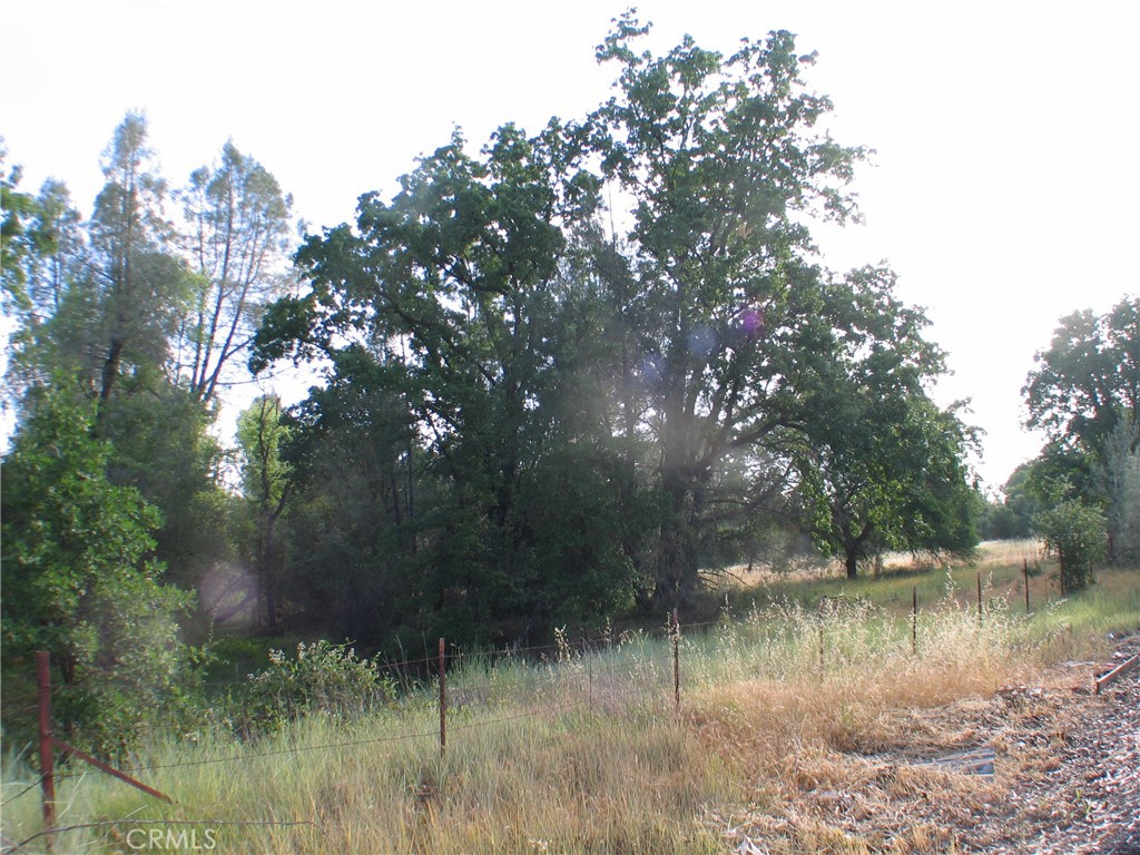 0 Ophir Road Oroville, CA 95966 - Photo 17 of 22