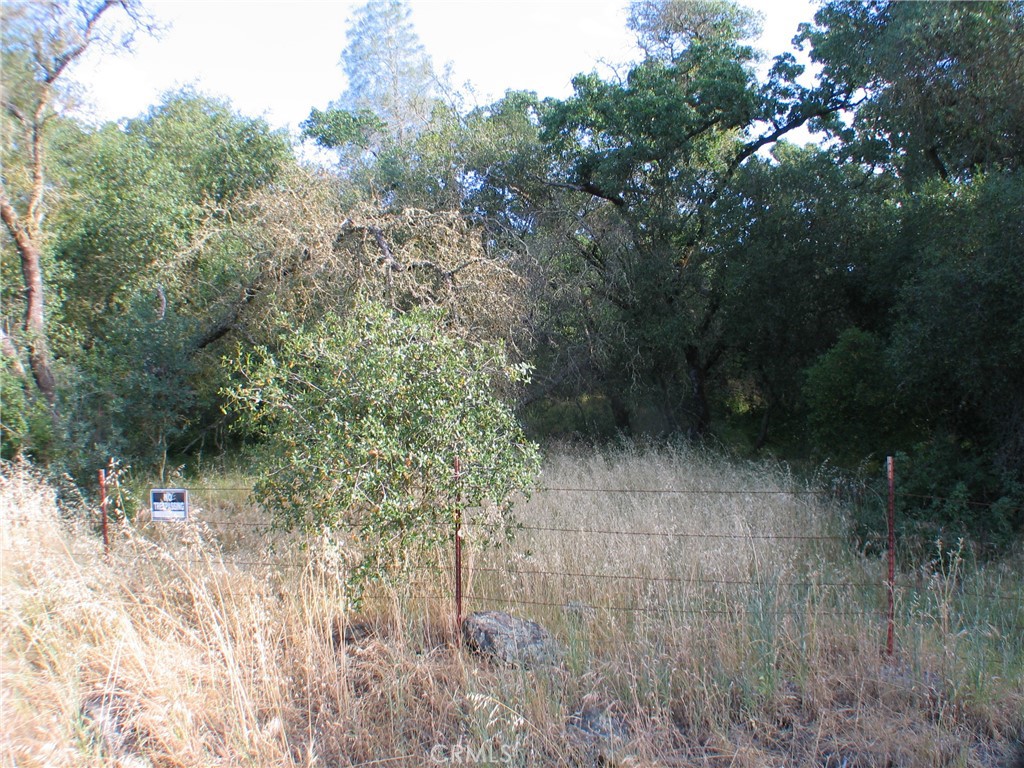 0 Ophir Road Oroville, CA 95966 - Photo 20 of 22