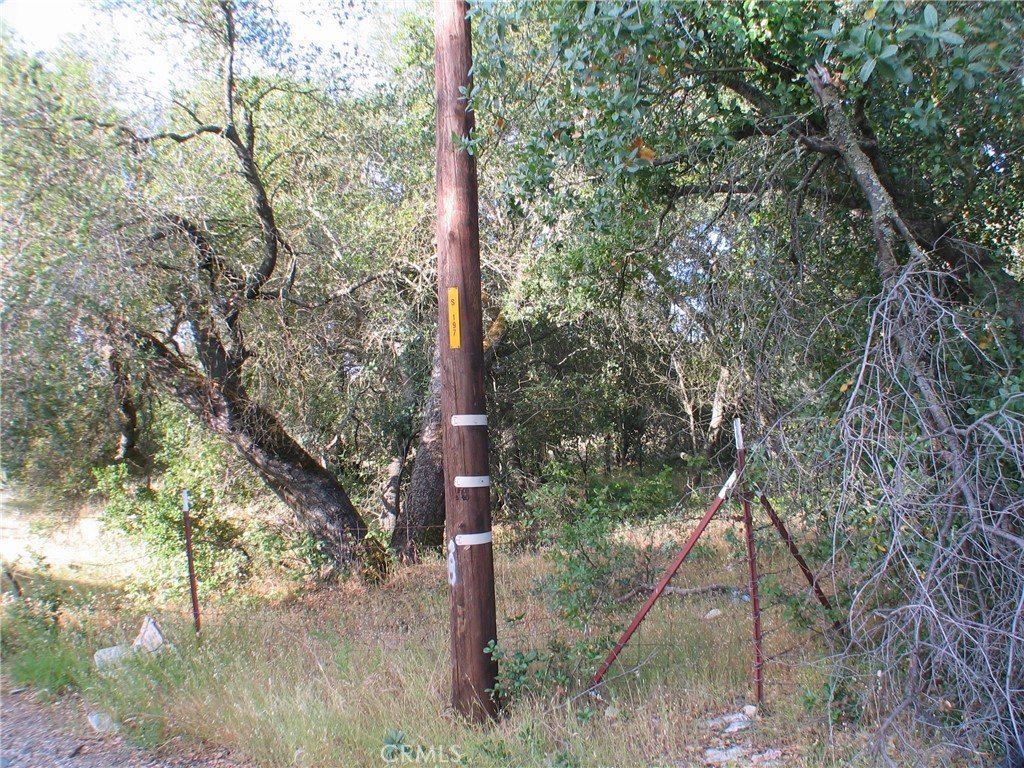 0 Ophir Road Oroville, CA 95966 - Photo 4 of 22