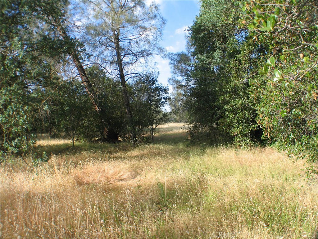 0 Ophir Road Oroville, CA 95966 - Photo 7 of 22