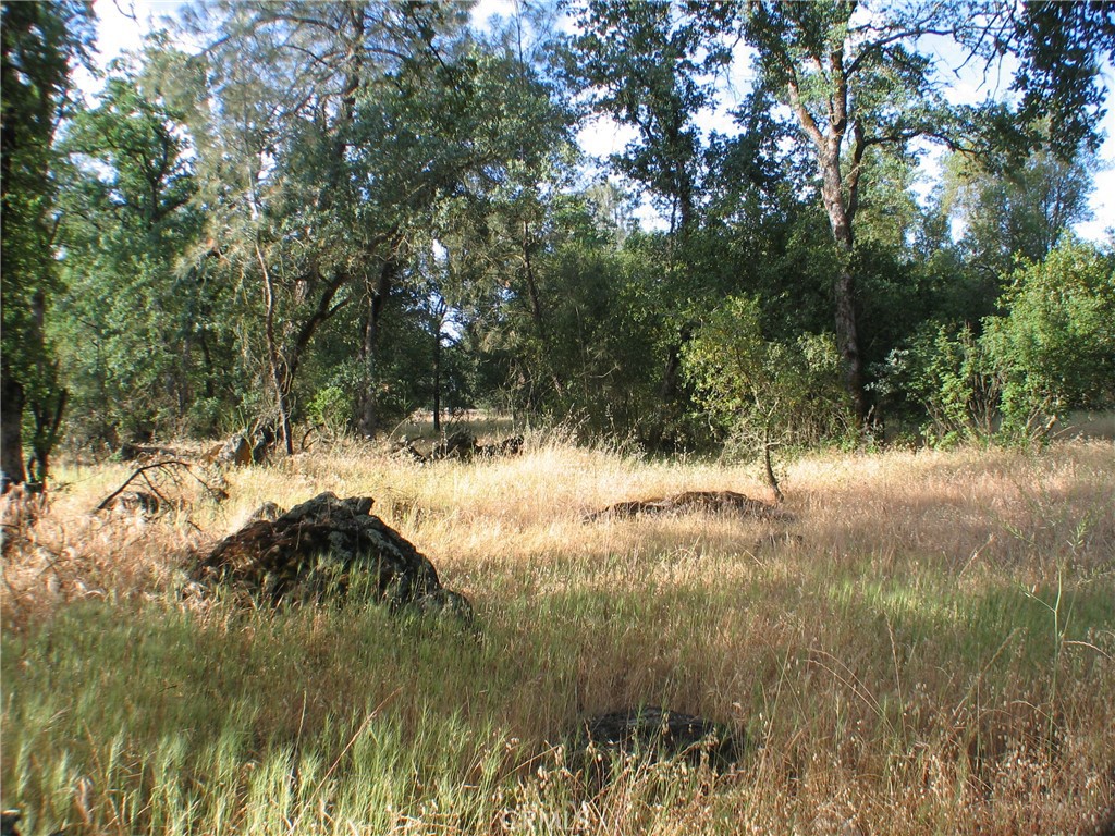 0 Ophir Road Oroville, CA 95966 - Photo 9 of 22