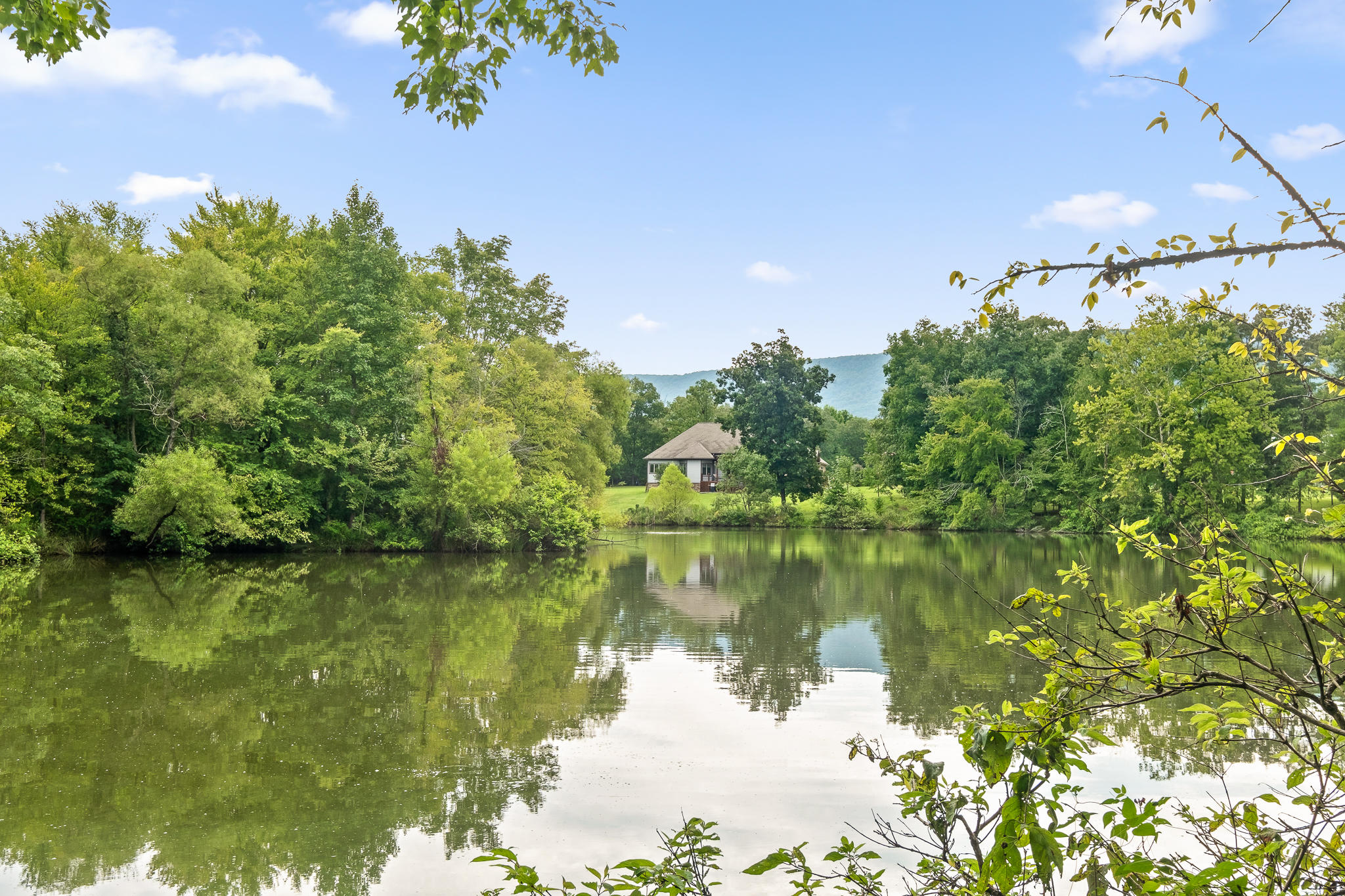 1775 Delano Road Delano, TN 37325 - Photo 36 of 63 Pond