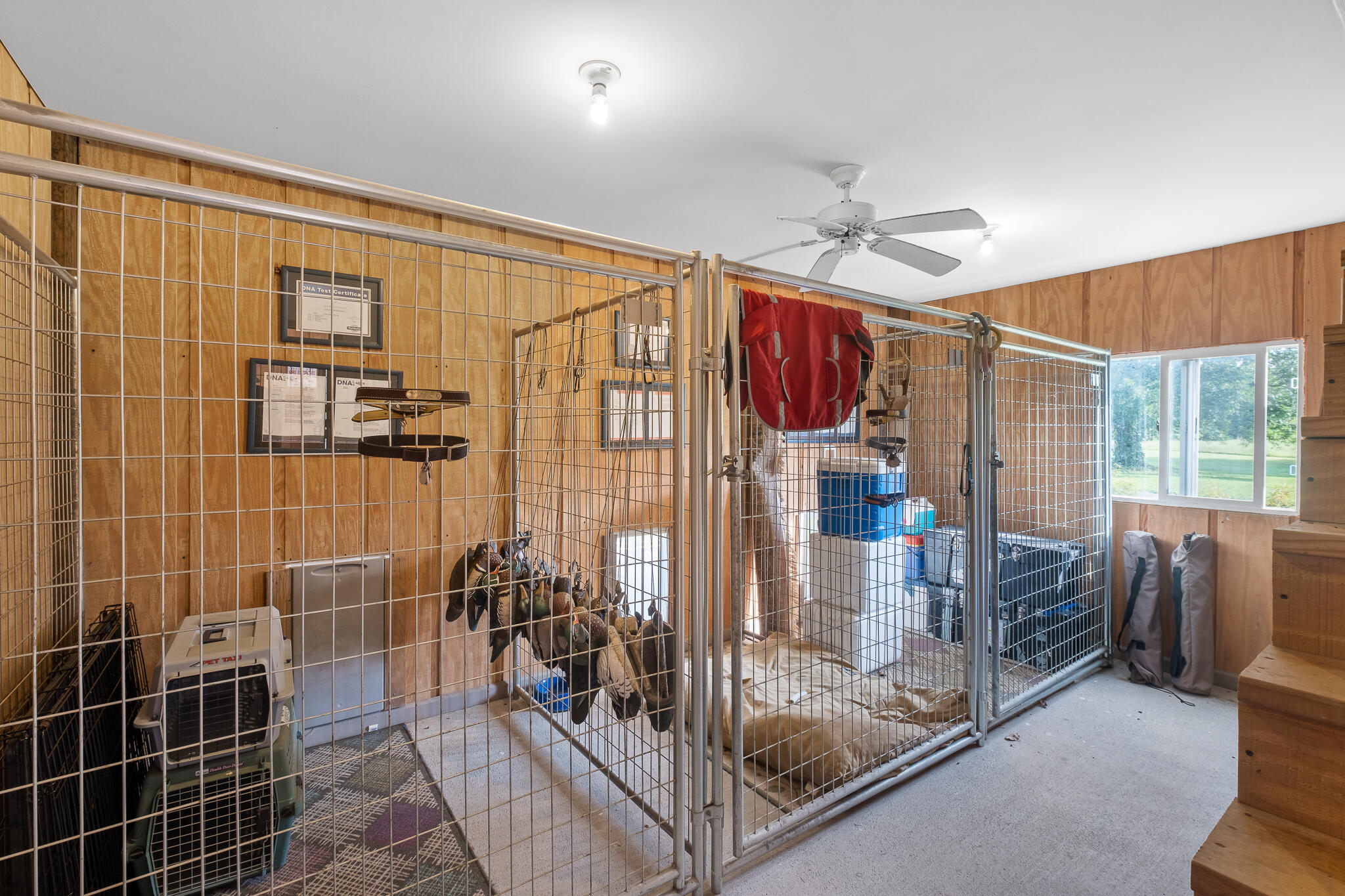 1775 Delano Road Delano, TN 37325 - Photo 43 of 63 Dog Kennels