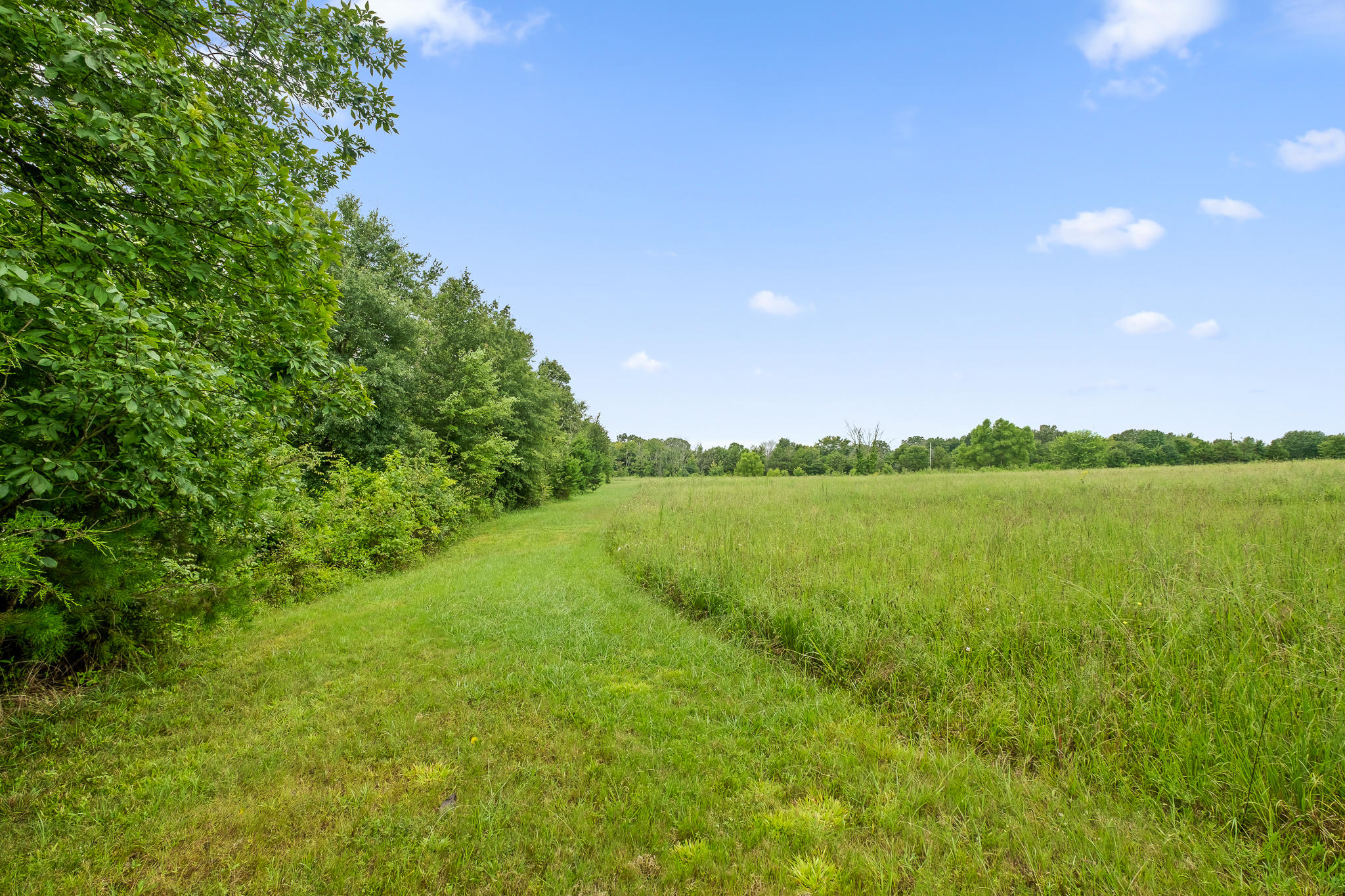 1775 Delano Road Delano, TN 37325 - Photo 49 of 63 Acreage