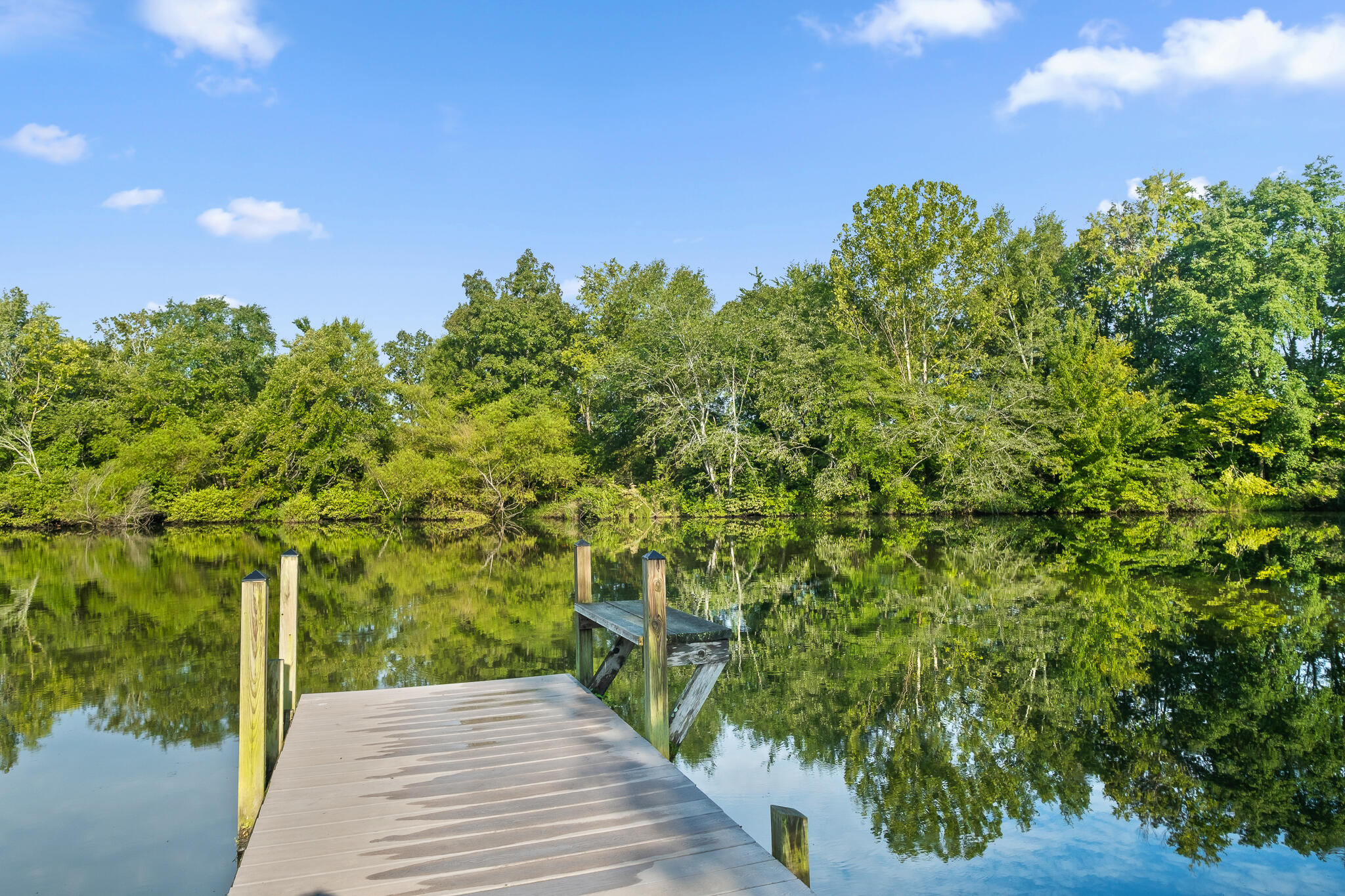 1775 Delano Road Delano, TN 37325 - Photo 6 of 63 Pond