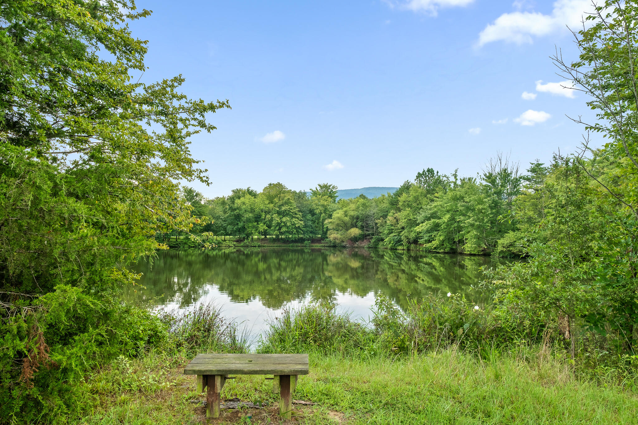 1775 Delano Road Delano, TN 37325 - Photo 53 of 63 Pond