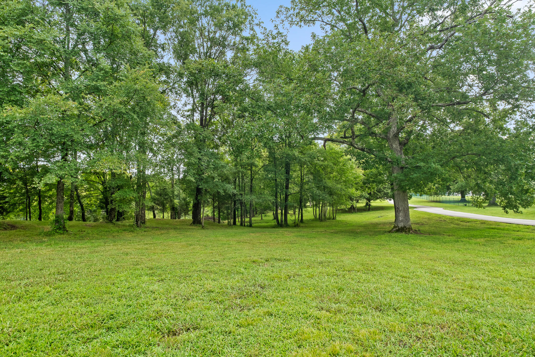 1775 Delano Road Delano, TN 37325 - Photo 55 of 63 Acreage