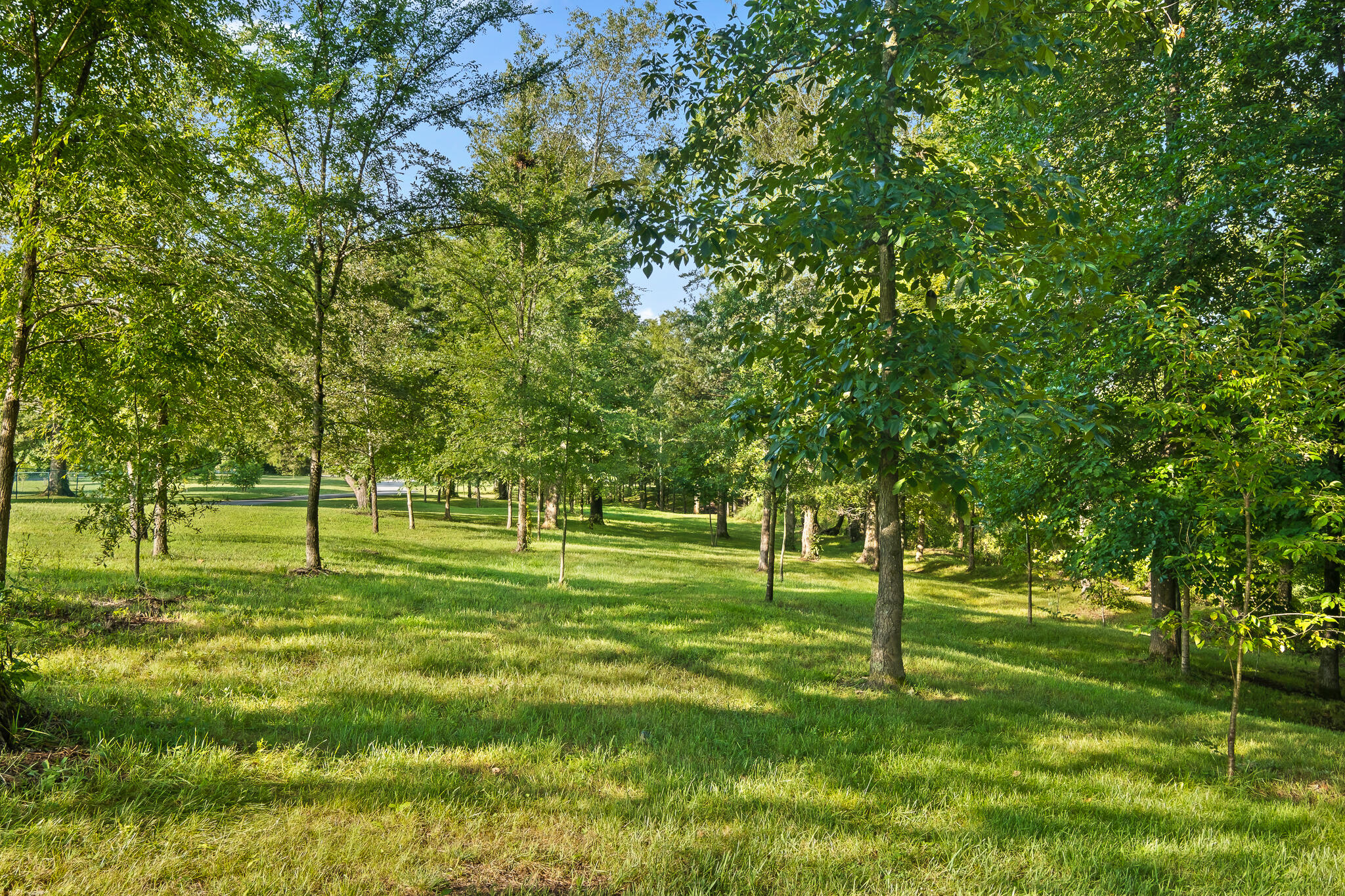 1775 Delano Road Delano, TN 37325 - Photo 7 of 63 Acreage