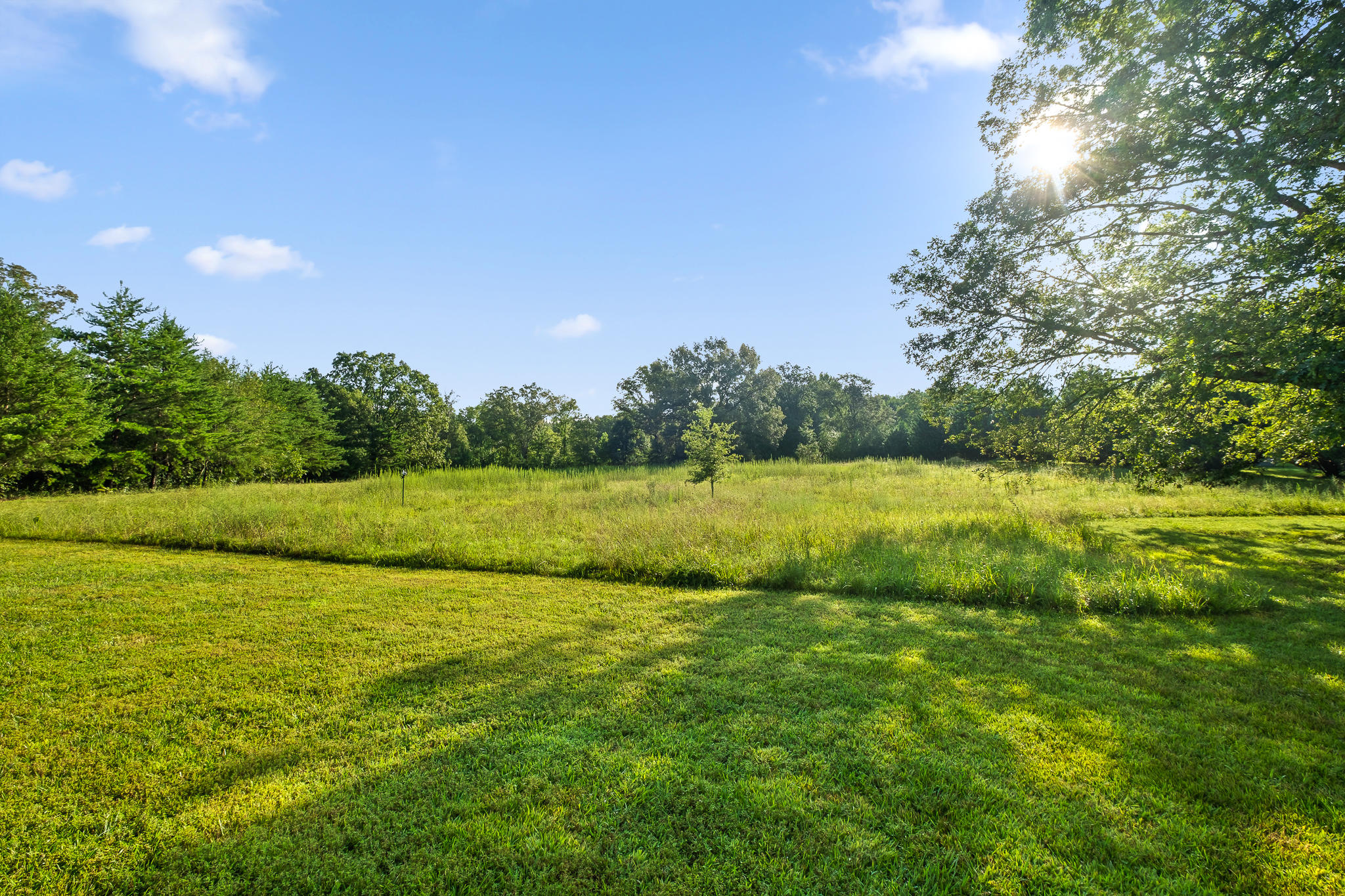 1775 Delano Road Delano, TN 37325 - Photo 8 of 63 Acreage