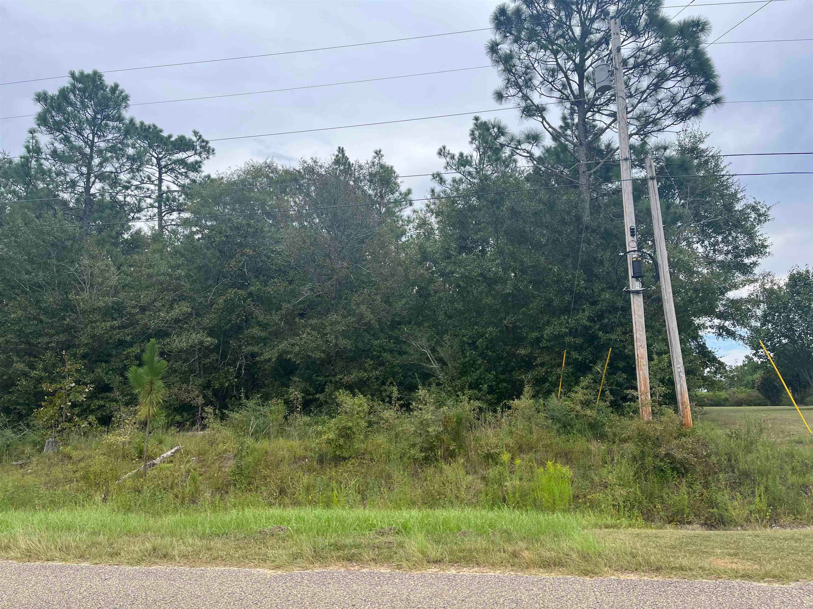 0 Bay Branch Road Andalusia, AL 36420 - Photo 2 of 8 Gallery Image 2