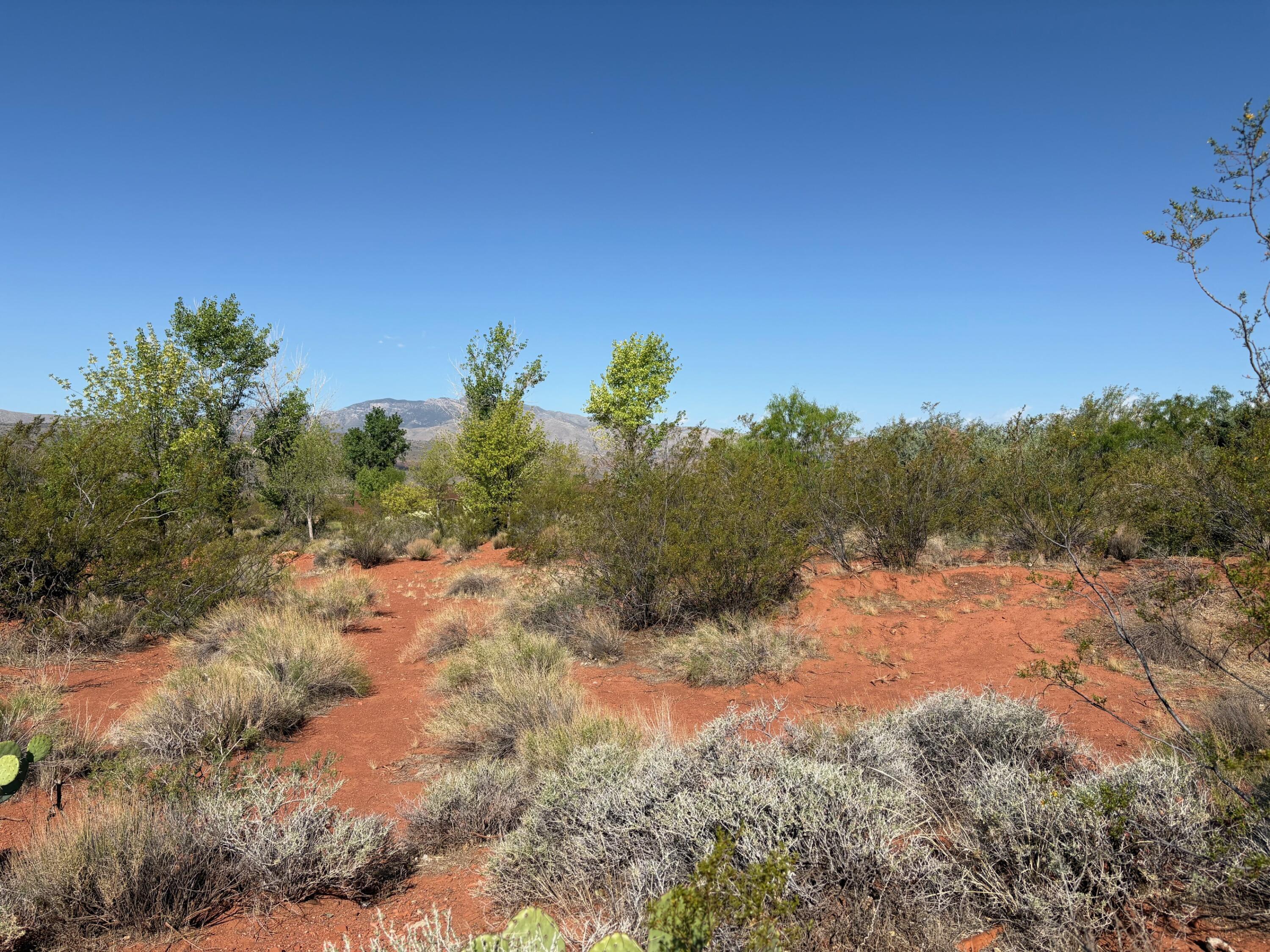 Tbd North Agave Way, Unit 107 Ivins, UT 84738 - Photo 5 of 6 West