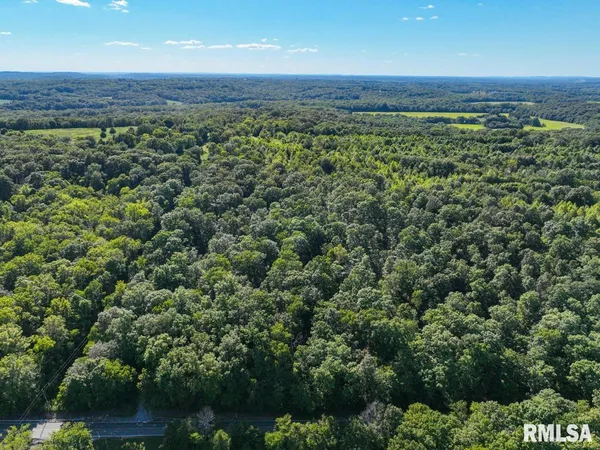 $193,845 | 1380 Highway 45, Vienna, IL 62995