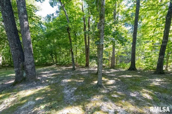 $193,845 | 1380 Highway 45, Vienna, IL 62995