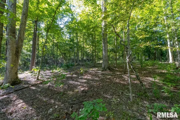 $193,845 | 1380 Highway 45, Vienna, IL 62995