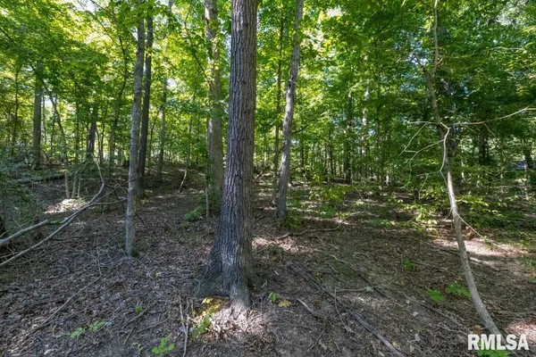 $193,845 | 1380 Highway 45, Vienna, IL 62995