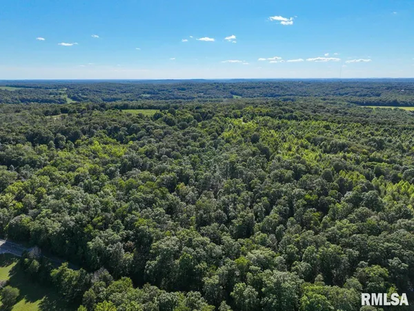 $193,845 | 1380 Highway 45, Vienna, IL 62995