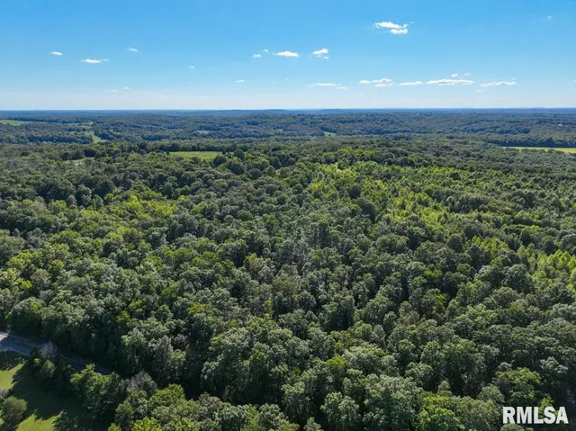 $197,000 | 1380 Highway 45, Vienna, IL 62995