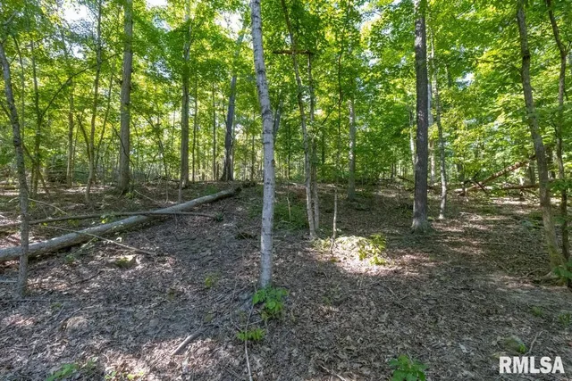 $197,000 | 1380 Highway 45, Vienna, IL 62995