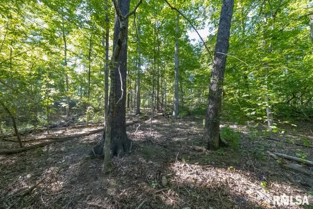 $197,000 | 1380 Highway 45, Vienna, IL 62995