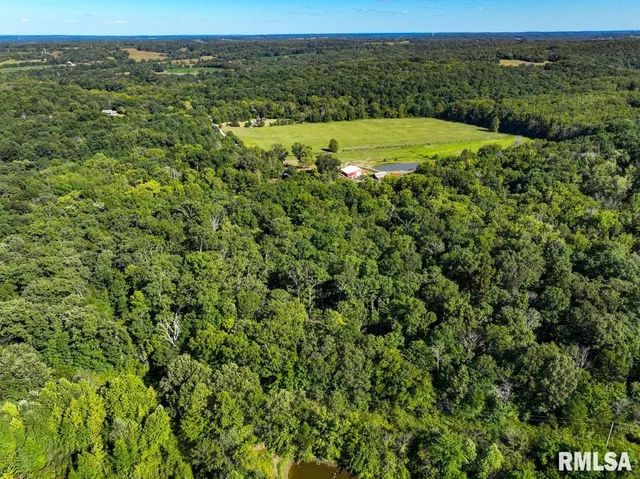 $197,000 | 1380 Highway 45, Vienna, IL 62995