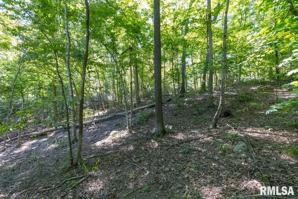 $193,845 | 1380 Highway 45, Vienna, IL 62995