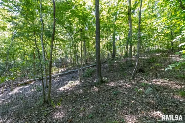 $197,000 | 1380 Highway 45, Vienna, IL 62995