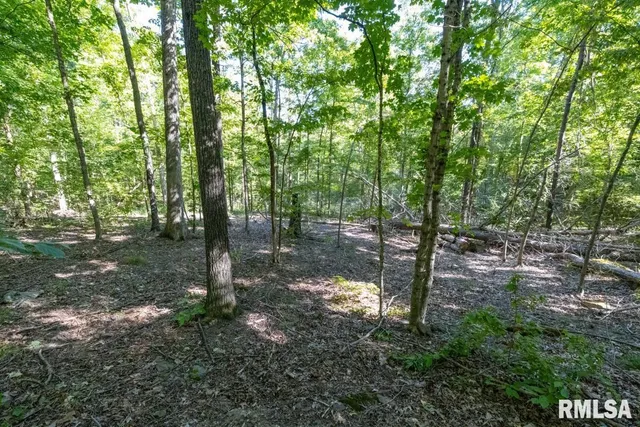 $197,000 | 1380 Highway 45, Vienna, IL 62995