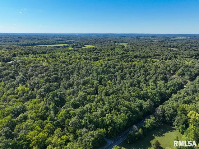 $197,000 | 1380 Highway 45, Vienna, IL 62995