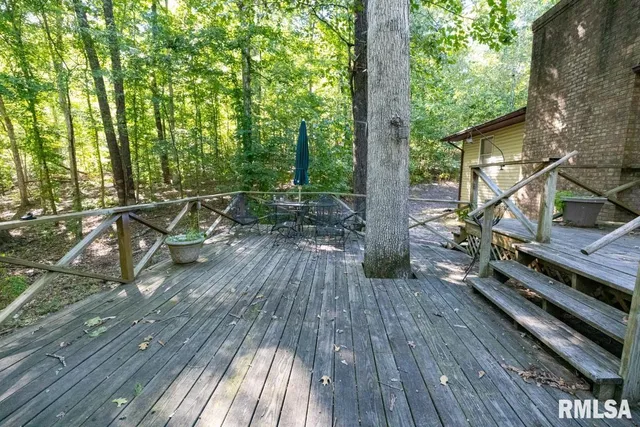 $197,000 | 1380 Highway 45, Vienna, IL 62995