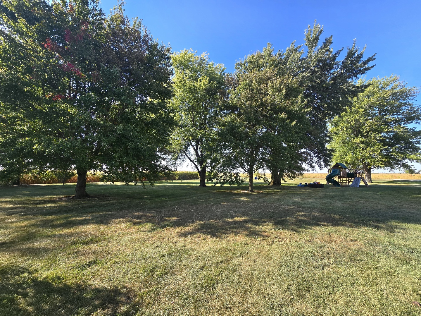 523 East 2900 North Road Clifton, IL 60927 - Photo 11 of 46