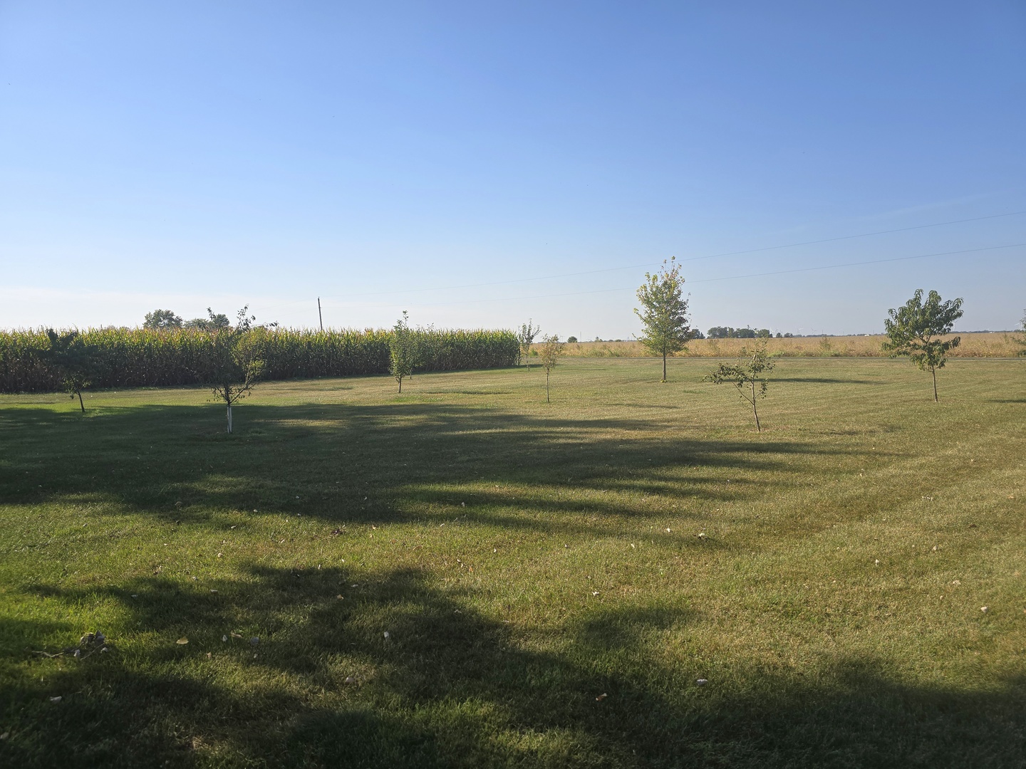 523 East 2900 North Road Clifton, IL 60927 - Photo 45 of 46