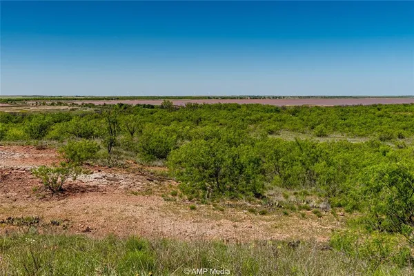 a view of a field with an ocean