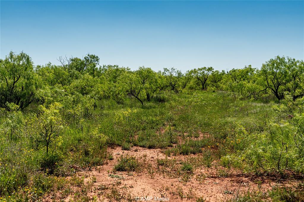 600 St Haskell Tx 79521 Haskell, TX 79521 - Photo 14 of 31 a view of a large yard with lots of green space