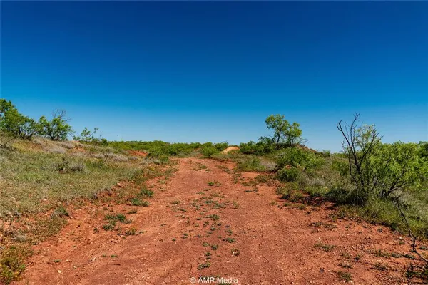 a view of a dirt road with large trees