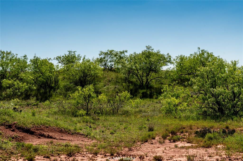 600 St Haskell Tx 79521 Haskell, TX 79521 - Photo 23 of 31 a view of a large yard with lots of plants and trees in the background